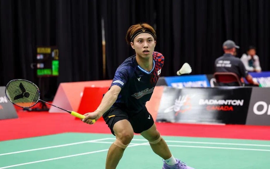 本文将为您 本文将为您